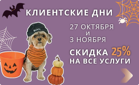салон милорд на курской телефон. Смотреть фото салон милорд на курской телефон. Смотреть картинку салон милорд на курской телефон. Картинка про салон милорд на курской телефон. Фото салон милорд на курской телефон