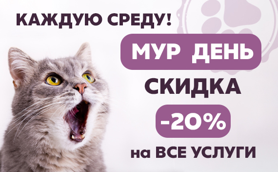 МУР ДЕНЬ