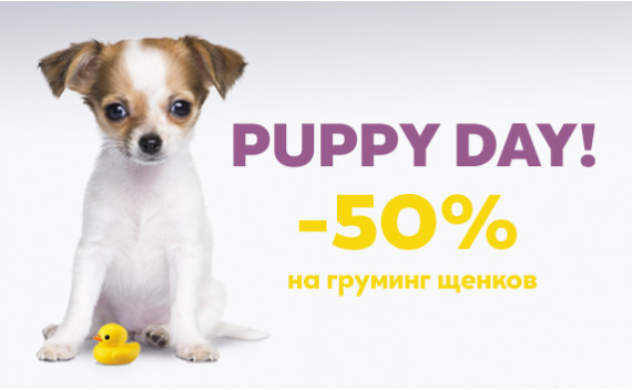Puppy Day! Грумминг щенка со СКИДКОЙ 50%!