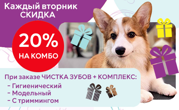 Каждый вторник скидка