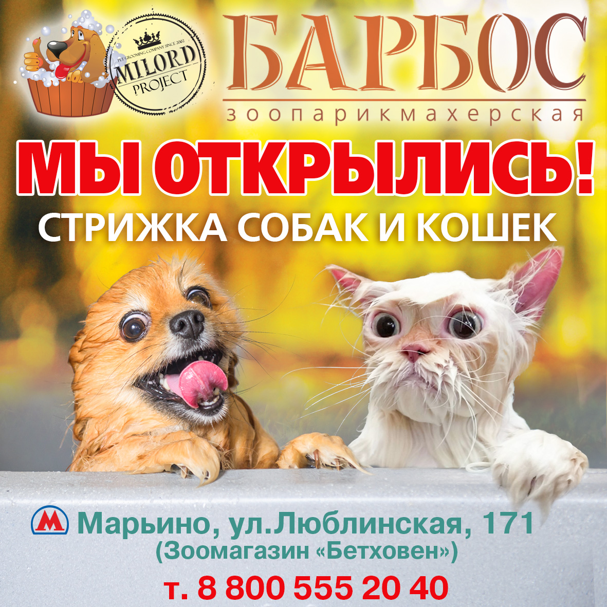 Мы открылись!!!