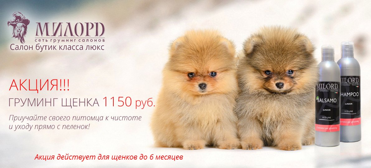 АКЦИЯ! «Первый раз!»