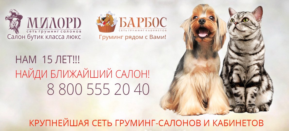 АКЦИЯ! «Первый раз!»
