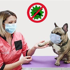 Добрый день наши дорогие! 