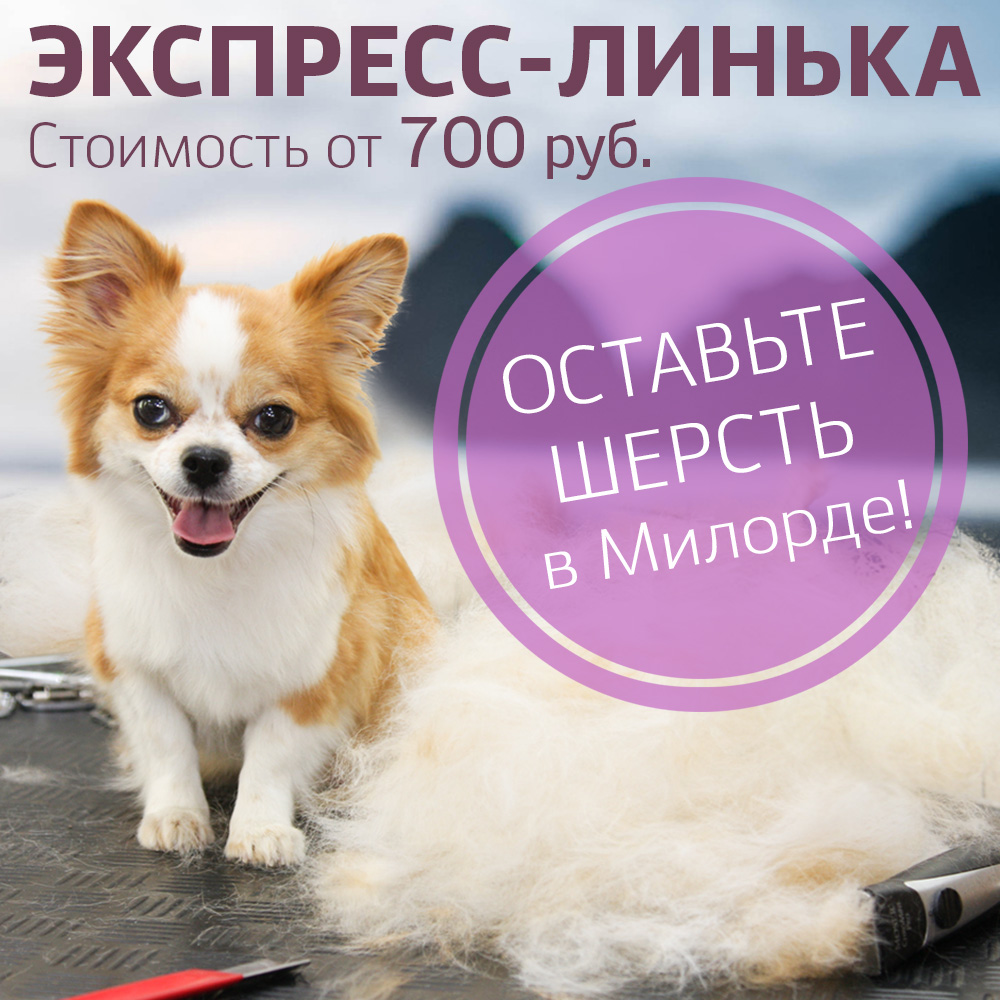 Новая услуга "Экспресс-линька"