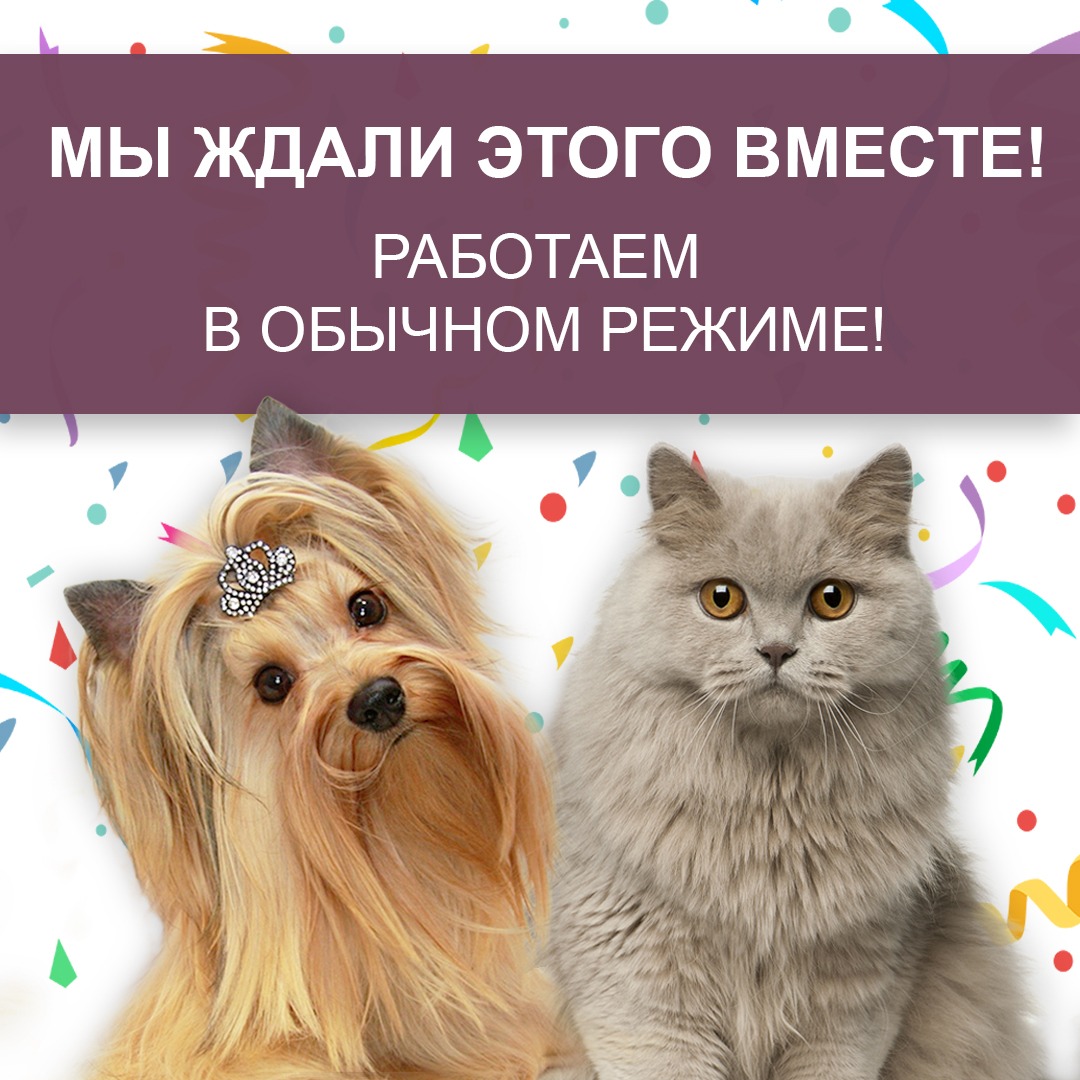 Знаем, мы все этого ждали вместе!