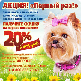 Первый раз! Акция!